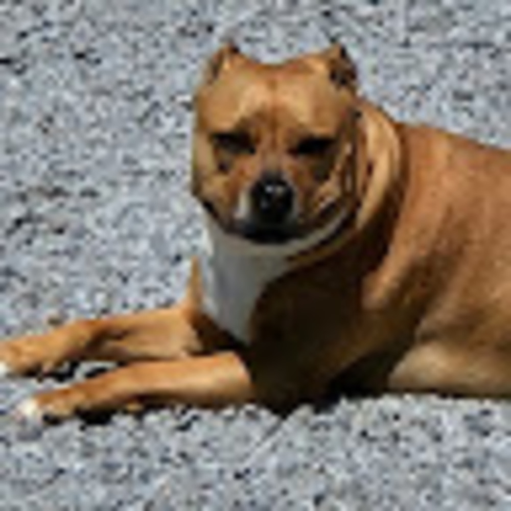 Meet your Posher, Nathan